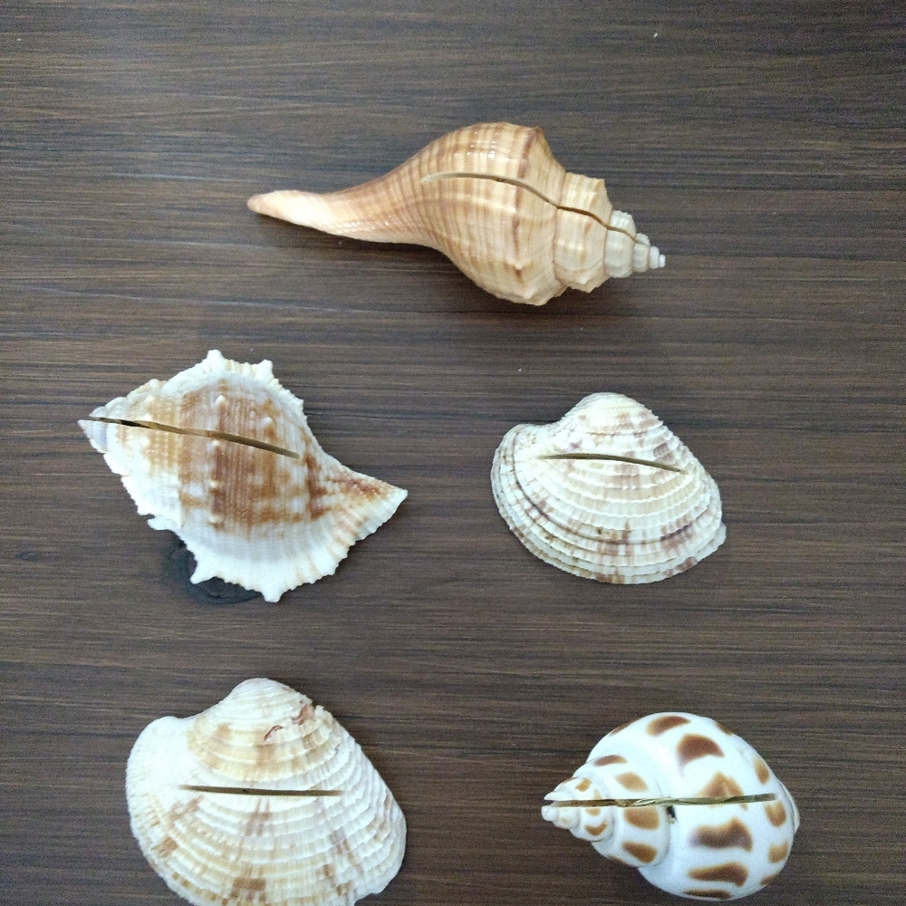 *Wedding/Party Decor*